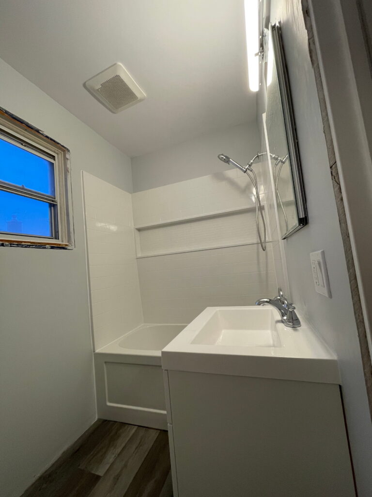 Belleville bathroom renovation with modern shower installation