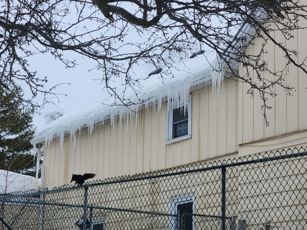 Improper roof ventilation causing ice dam buildup